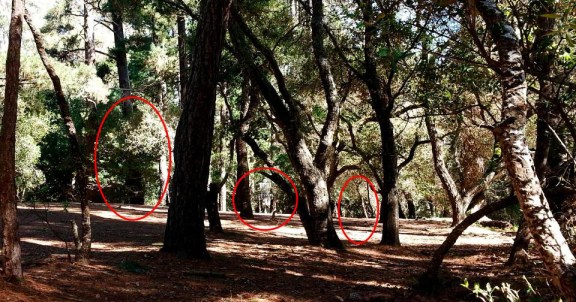 In this final example, you make the call. Would you go for the gap on the left, the gap in the middle (please note the basket is in the middle of this gap) or the gap on the right? Most importantly, why? Let us know in the comments below. (photo by Jack Trageser)