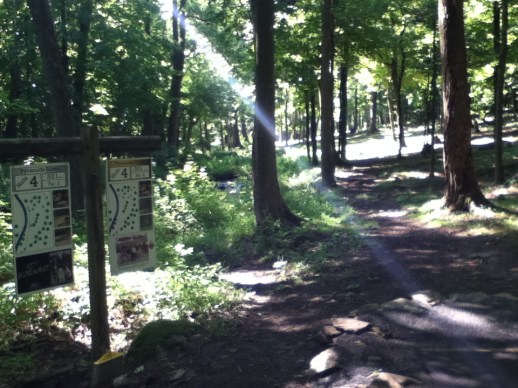 Lighting the way at Pyramids. (photo by Tim Johnson)