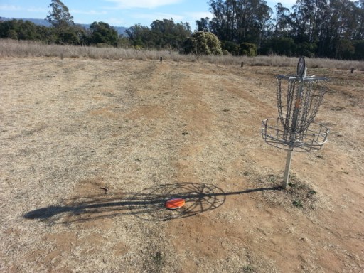 A gimme birdie, but a shadow ace. (photo by Jack Trageser)