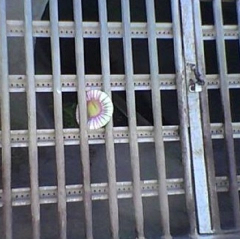 PhotoFocus_karengreenberg